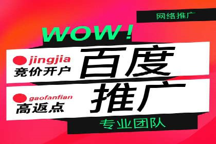 某公司SEO与SEM整合营销的全程记录